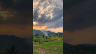 Tenang Banget murottal sawah pedesaan