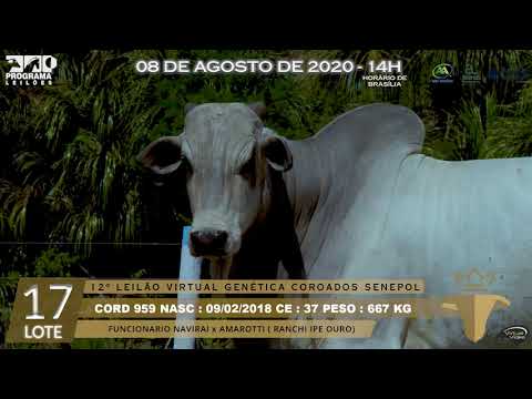 LOTE 17 CORD 959