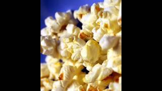 Parma Motor Vu Movie