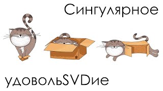 Сингулярное удовольSVDие