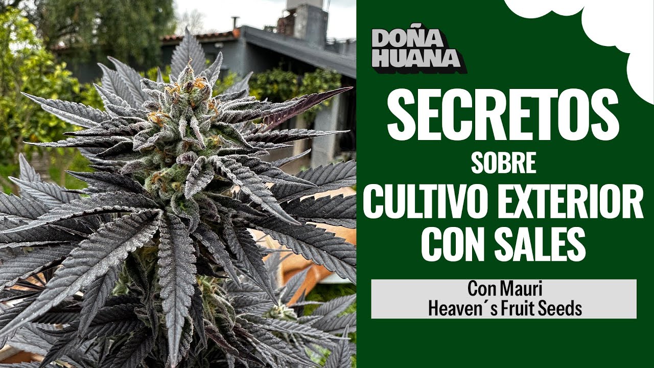 SECRETOS DEL CULTIVO EXTERIOR CON SALES - Maury Heavens Fruit