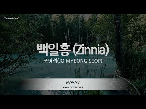[짱가라오케/노래방] 조명섭(JO MYEONG SEOP)-백일홍 (Zinnia) [ZZang KARAOKE]