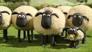 Shaun the Sheep LIVE STREAM