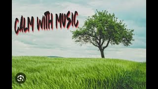 Peaceful Serenade:[Copyright-Free Music for Relaxation