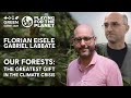 P4P Webinar #4: Our Forests: -The Greatest Gift in the Climate Crisis