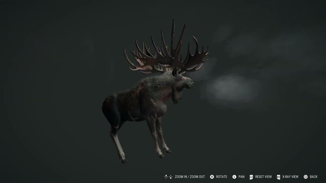 Fabled Ashen Big Non-Typical Rack Great One Moose theHunter: Call of the Wild