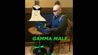 GAMMA MALE