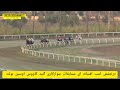 درخشش اسب افسانه ای مسابقات سوارکاری گنبد کاووس اوسین بولت