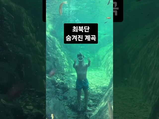 DMZ 아래, 최북단 숨겨진 계곡