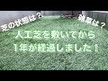 人工芝を敷いてから1年が経過が経過しました！