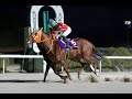 【佐賀競馬】第66回 花吹雪賞（2025.1.26）
