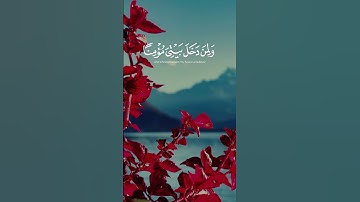 سورة نوح - عاصم اللحيدان