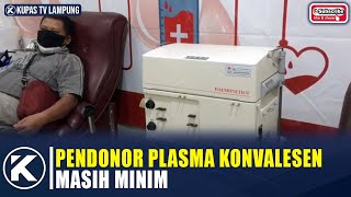 PENDONOR PLASMA KONVALESEN DI LAMPUNG MASIH MINIM