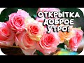 Желаю плодотворного дня!