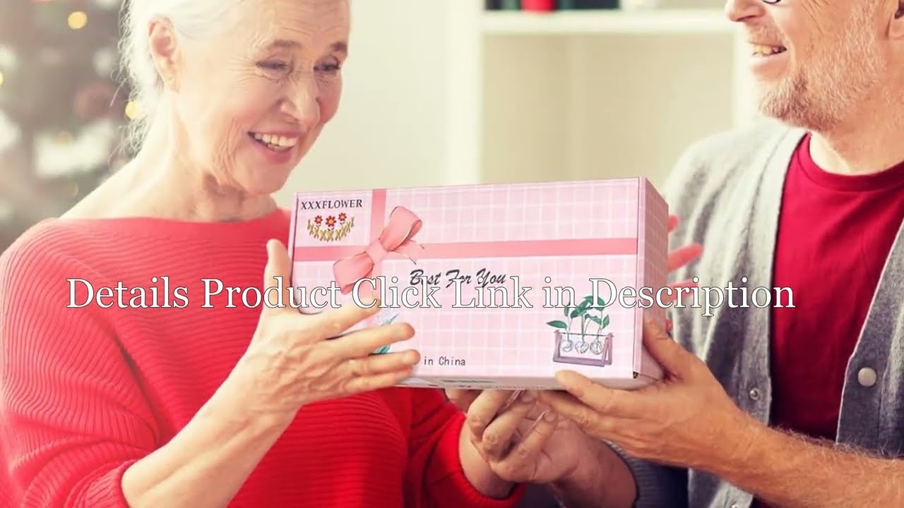 XXXFLOWER Plant Terrarium with Wooden Stand