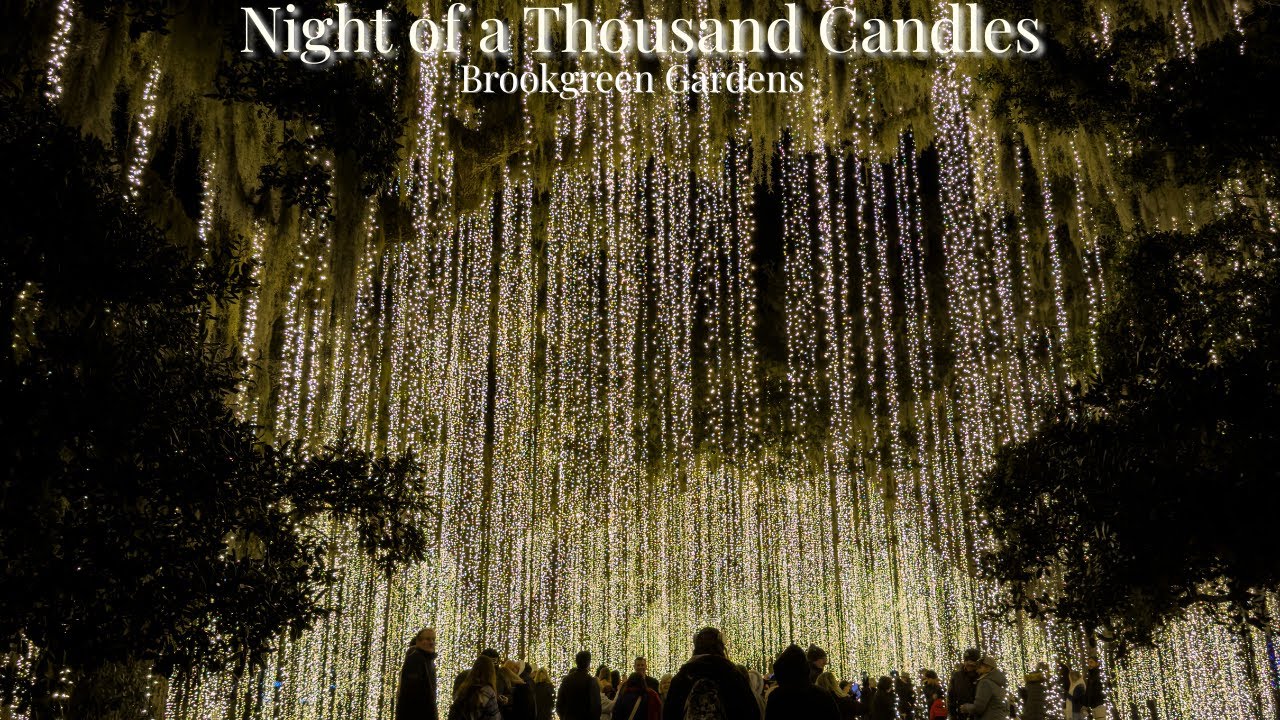 Night of a Thousand Candles at Brookgreen Gardens | Cinematic Experience