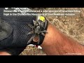 Meet Arizona's new species of tarantula