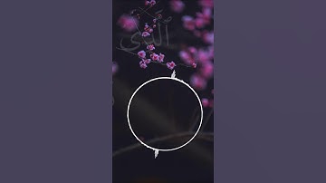 ﴿يا أَيُّهَا الإِنسانُ ما غَرَّكَ بِرَبِّكَ الكَريمِ﴾ القارئ عامر الكاظمي