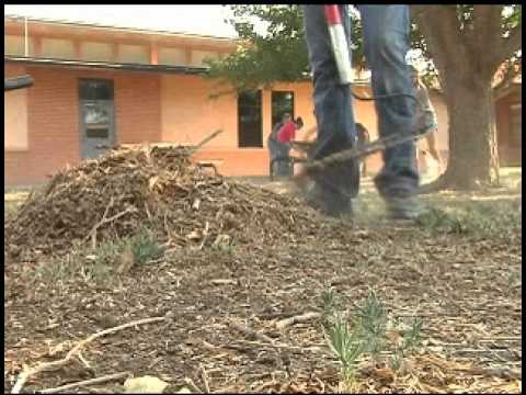 Pronews 7: WT Ag Ambassadors Beautify Reeves-Hinger Elementary School