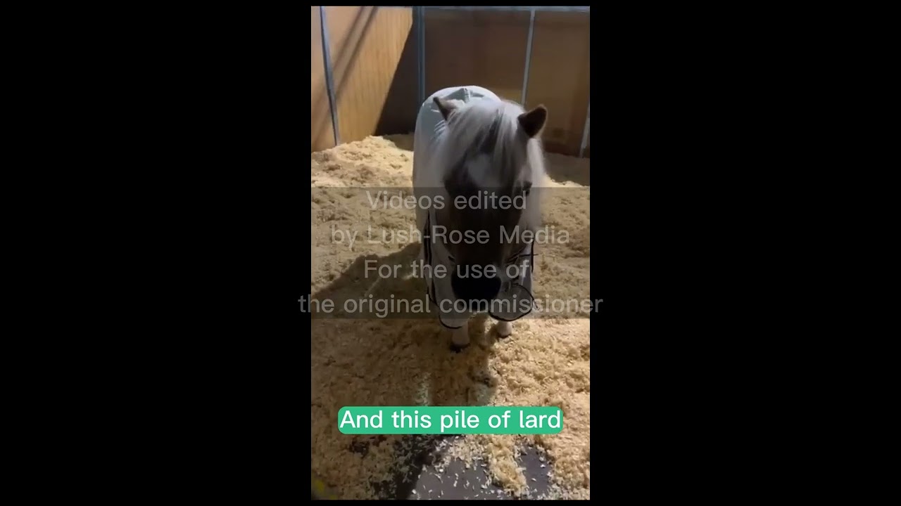 Lush Rose Media- Showreel 3