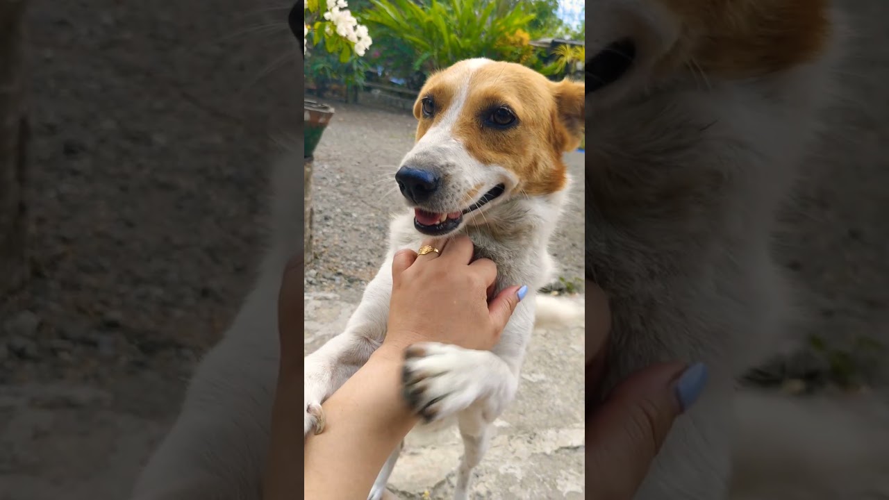 Это абсолютно верно!