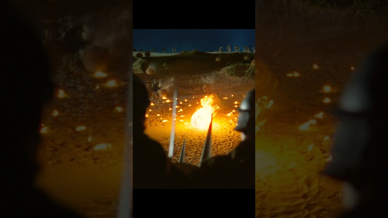 Hector led the Trojan army in a surprise night attack against the Greek army 