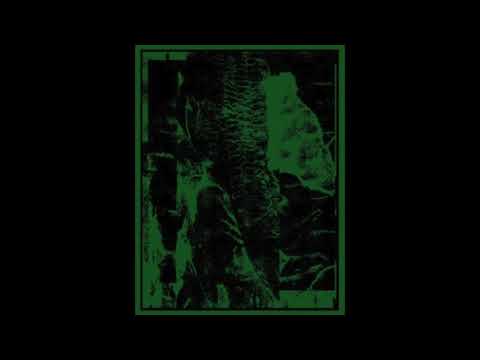 Lettera 22 — LETTERA 22 – Negative Tongue (2010)