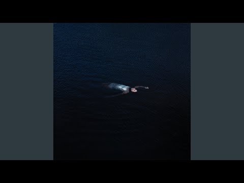 Mustard Service - Paradise