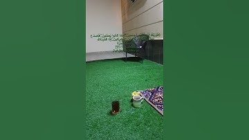 سورة الحجر ﴿فَوَرَبِّكَ لَنَسأَلَنَّهُم أَجمَعينَ۝عَمّا كانوا يَعمَلونَ۝