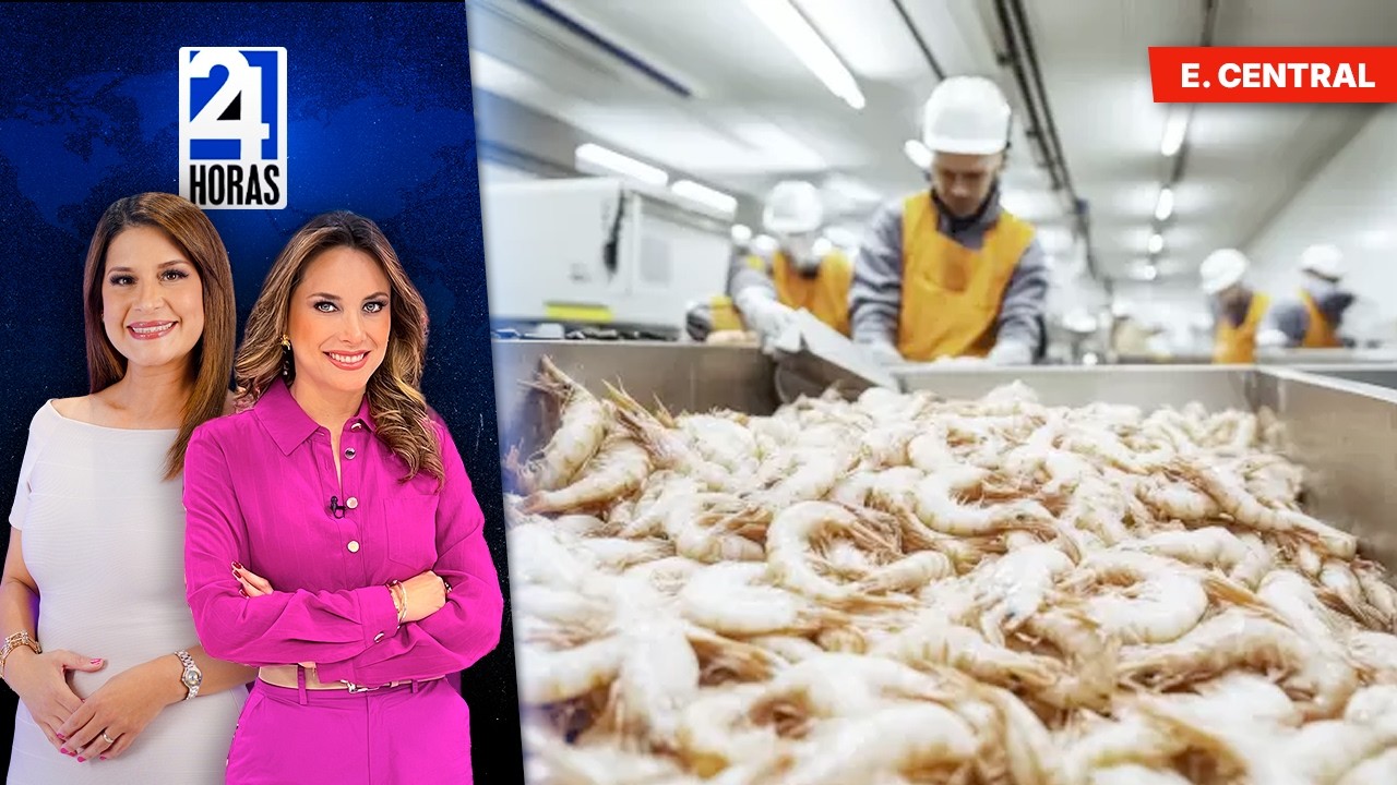 Noticias, viernes 19 de febrero del 2026 | 24 Horas | Ecuador