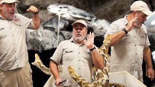 Angry Momma Python Defends her Snake Eggs😳