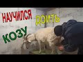 Мороз -16 градусов/Поим  индюков СНЕГОМ! Санька- Герой! Научился доить козу! Дойка козы!