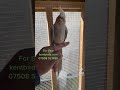 Tamed cockatiel