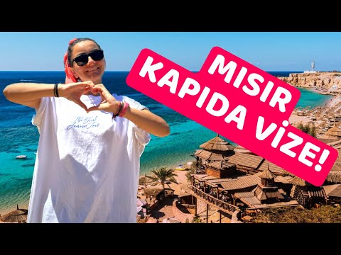 Video: Kredi kartı 