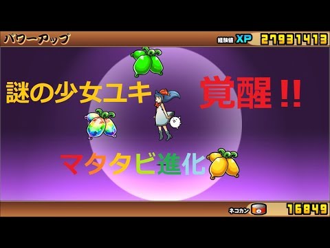 にゃんこ大戦争 謎の少女ユキ覚醒進化させてみると！？ネコ耳に