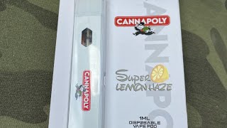 Cannapoly disposable review