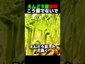 えんどう豆絶対！こう茹でないで！2分守るだけで栄養が全然違います 🫛