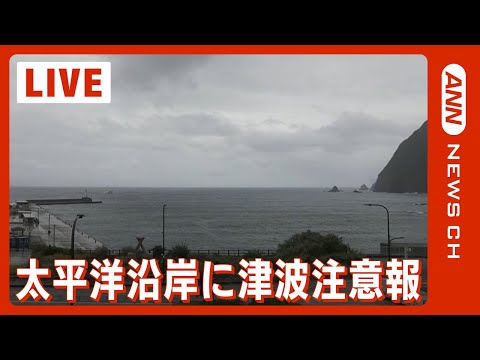 太平洋沿岸の広い範囲で津波注意報 全国で数十センチの津波観測 ※午後０時に解除(2023/10/9）ANN/テレ朝