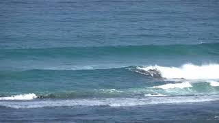 HEY HEY IT'S SURFINGVictorian Surf Report – Friday 31 July 2026Midday Edition