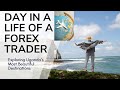 A Day In A Life Of  A Forex Trader / Safari Vibes