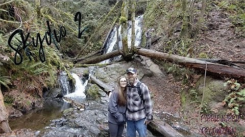 Dickerson Creek Waterfall (Cinematic w/ Skydio 2)