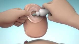 D13 Brava Animation Deodorant TR v01