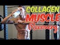 Muscle Recovery: How Effective is Collagen Protein- Thomas DeLauer