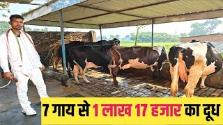 मेरे Dairy Farm पर है 34 किलो दूध करने वाली गाय | Dairy Farm screenshot 2