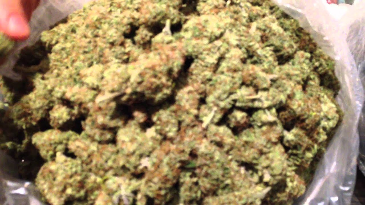 LAMBS BREAD KIEF, BLUEBERRY , AND QLEANER | iweed.io