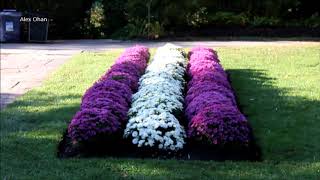 Toronto, ontario, canada ...