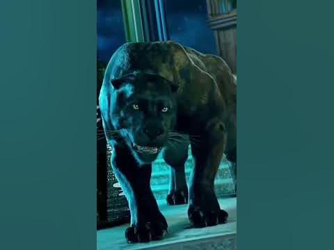 #дикая львица - YouTube