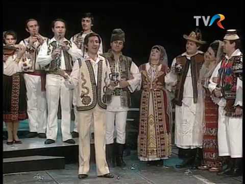 Ion Toader - Hai, prieteni, sa ciocnim muzica populara bihor