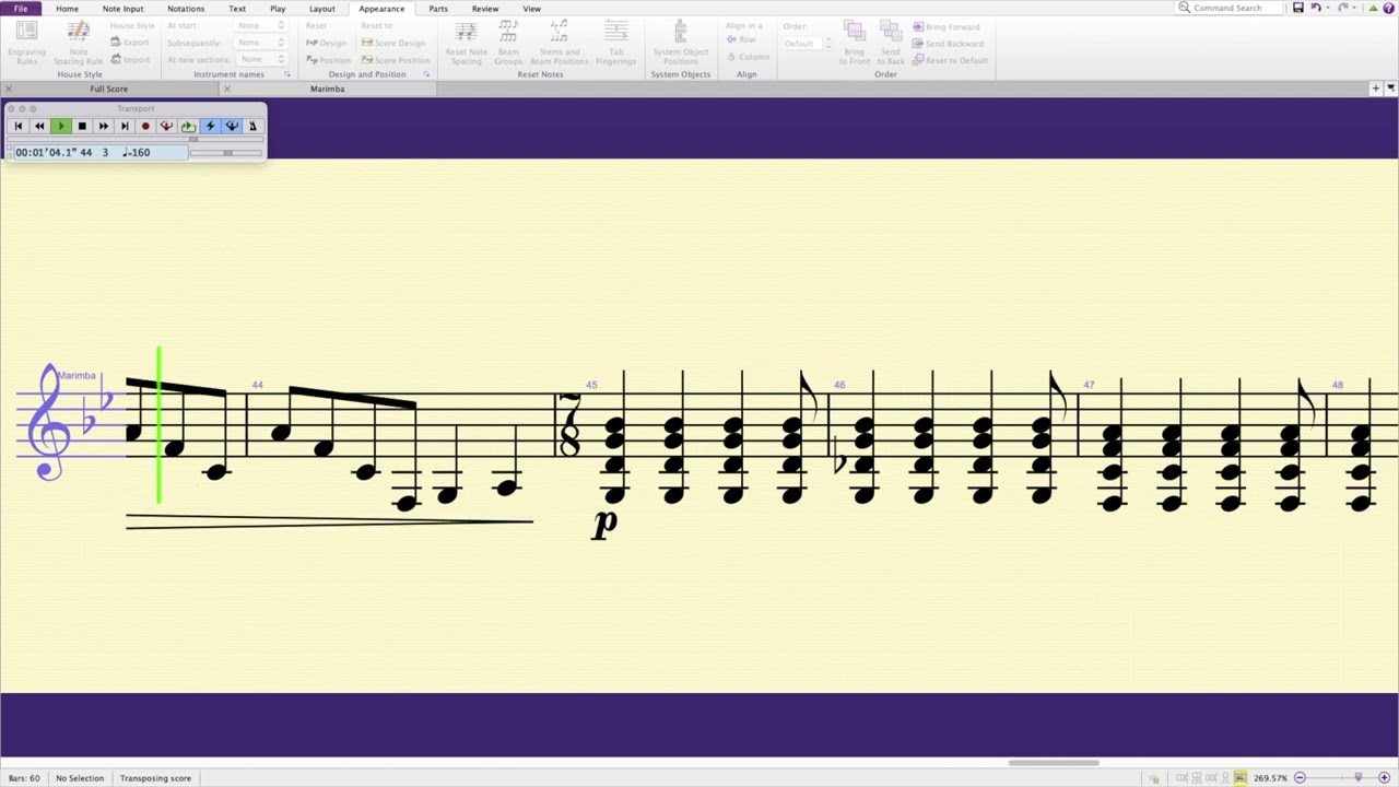 Day 10 Music Video - Marimba Solo