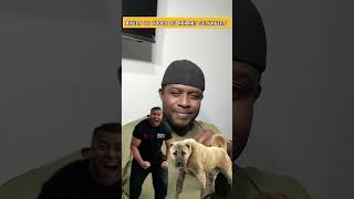 BI TE LO vs TODOS OS ANIMAIS